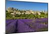 View of Village of Saignon with Field of Lavander in Bloom, Provence, France-Stefano Politi Markovina-Mounted Photographic Print