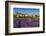 View of Village of Saignon with Field of Lavander in Bloom, Provence, France-Stefano Politi Markovina-Framed Photographic Print