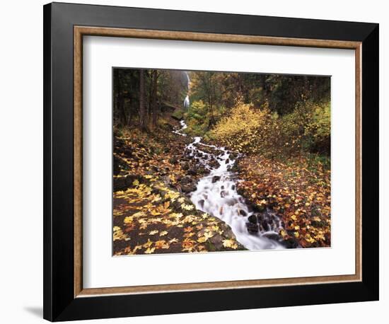 View of Wahkeena Falls at Columbia Gorge National Scenic Area, Oregon, USA-Stuart Westmorland-Framed Photographic Print