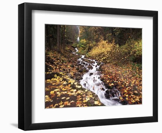 View of Wahkeena Falls at Columbia Gorge National Scenic Area, Oregon, USA-Stuart Westmorland-Framed Photographic Print