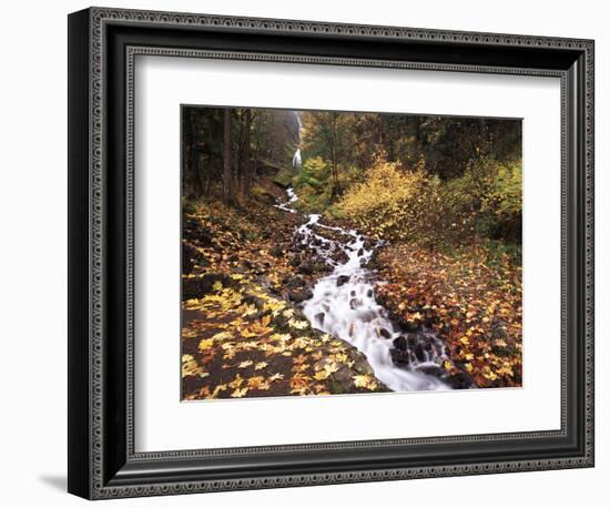 View of Wahkeena Falls at Columbia Gorge National Scenic Area, Oregon, USA-Stuart Westmorland-Framed Photographic Print