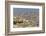 View of Wall Dividing Palestinian and Israeli Areas to the East of Jerusalem-Jon Hicks-Framed Photographic Print