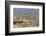 View of Wall Dividing Palestinian and Israeli Areas to the East of Jerusalem-Jon Hicks-Framed Photographic Print