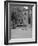 View of Walt Whitman's House-Philip Gendreau-Framed Photographic Print