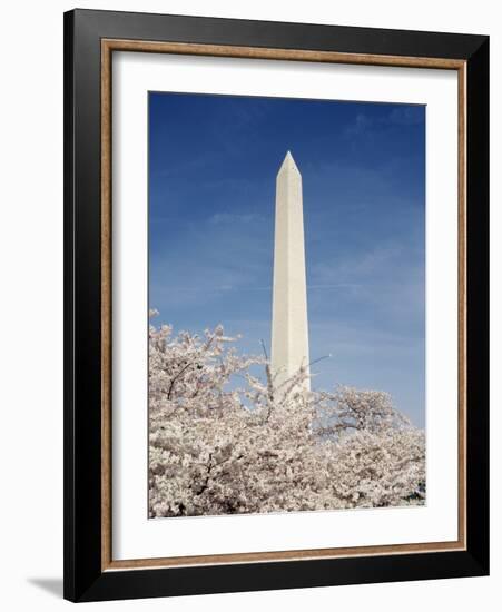 View of Washington Monument, Washington DC, USA-Michele Molinari-Framed Photographic Print