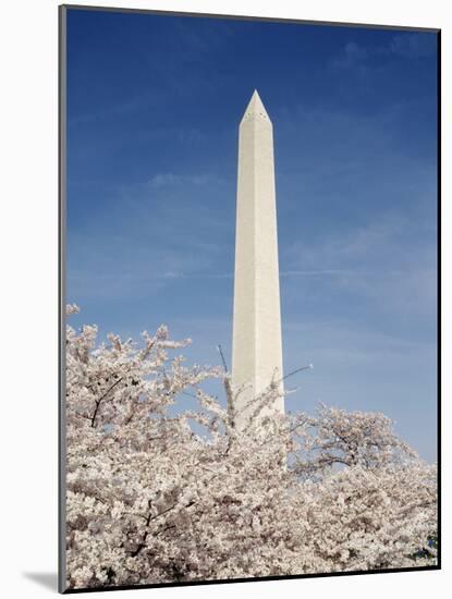 View of Washington Monument, Washington DC, USA-Michele Molinari-Mounted Photographic Print
