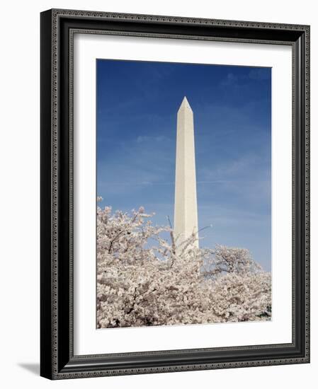 View of Washington Monument, Washington DC, USA-Michele Molinari-Framed Photographic Print