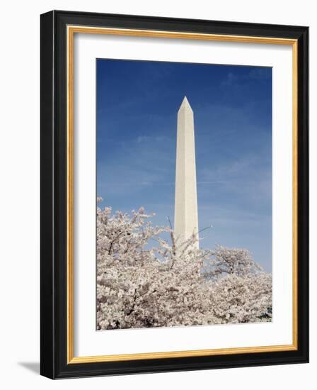 View of Washington Monument, Washington DC, USA-Michele Molinari-Framed Photographic Print