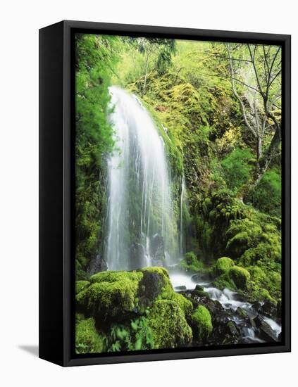 View of Waterfall, Columbia River Gorge, Mt Hood National Forest, Oregon, USA-Stuart Westmorland-Framed Premier Image Canvas
