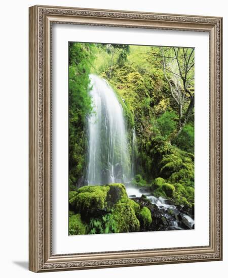 View of Waterfall, Columbia River Gorge, Mt Hood National Forest, Oregon, USA-Stuart Westmorland-Framed Photographic Print