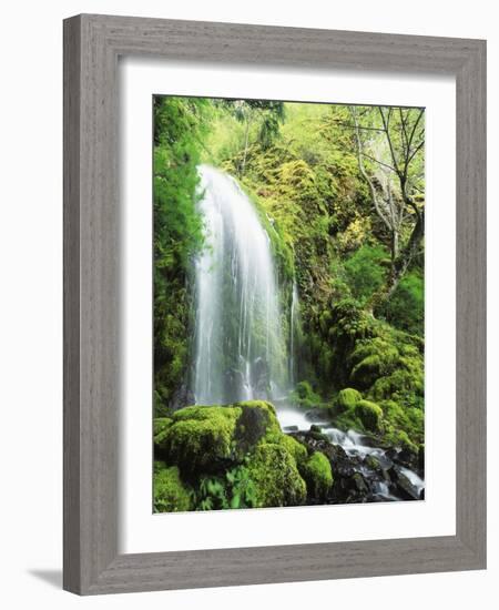 View of Waterfall, Columbia River Gorge, Mt Hood National Forest, Oregon, USA-Stuart Westmorland-Framed Photographic Print