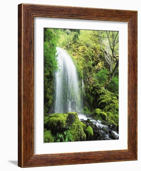 View of Waterfall, Columbia River Gorge, Mt Hood National Forest, Oregon, USA-Stuart Westmorland-Framed Photographic Print