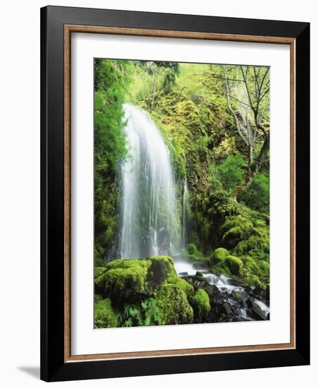 View of Waterfall, Columbia River Gorge, Mt Hood National Forest, Oregon, USA-Stuart Westmorland-Framed Photographic Print