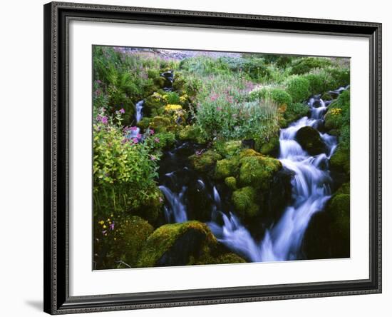 View of Waterfall in Forest, Oregon, USA-Stuart Westmorland-Framed Photographic Print