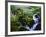 View of Waterfall in Forest, Oregon, USA-Stuart Westmorland-Framed Photographic Print