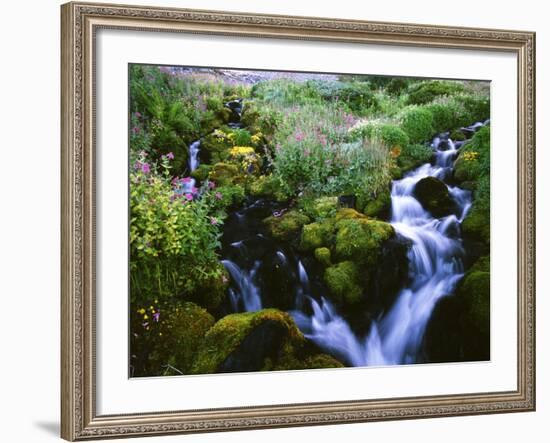 View of Waterfall in Forest, Oregon, USA-Stuart Westmorland-Framed Photographic Print