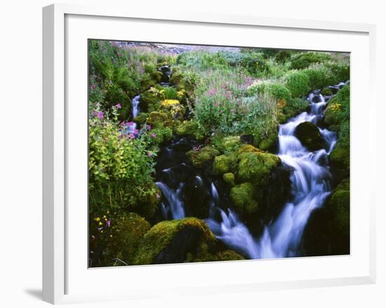 View of Waterfall in Forest, Oregon, USA-Stuart Westmorland-Framed Photographic Print