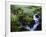 View of Waterfall in Forest, Oregon, USA-Stuart Westmorland-Framed Photographic Print