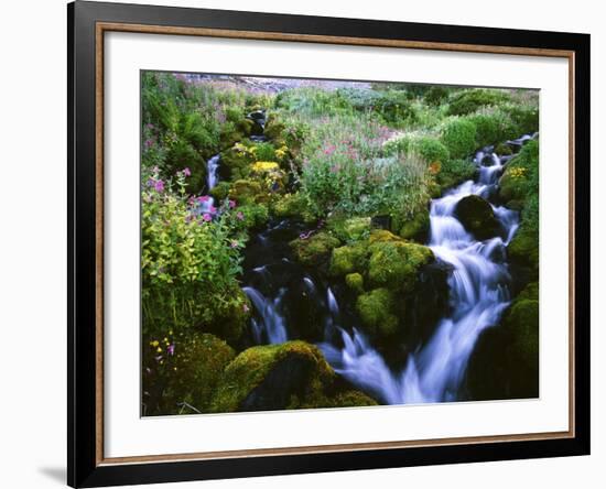 View of Waterfall in Forest, Oregon, USA-Stuart Westmorland-Framed Photographic Print