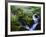 View of Waterfall in Forest, Oregon, USA-Stuart Westmorland-Framed Photographic Print