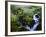 View of Waterfall in Forest, Oregon, USA-Stuart Westmorland-Framed Photographic Print