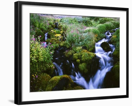 View of Waterfall in Forest, Oregon, USA-Stuart Westmorland-Framed Photographic Print