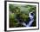 View of Waterfall in Forest, Oregon, USA-Stuart Westmorland-Framed Photographic Print