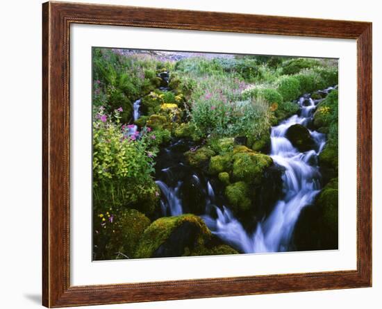 View of Waterfall in Forest, Oregon, USA-Stuart Westmorland-Framed Photographic Print