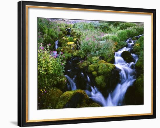 View of Waterfall in Forest, Oregon, USA-Stuart Westmorland-Framed Photographic Print