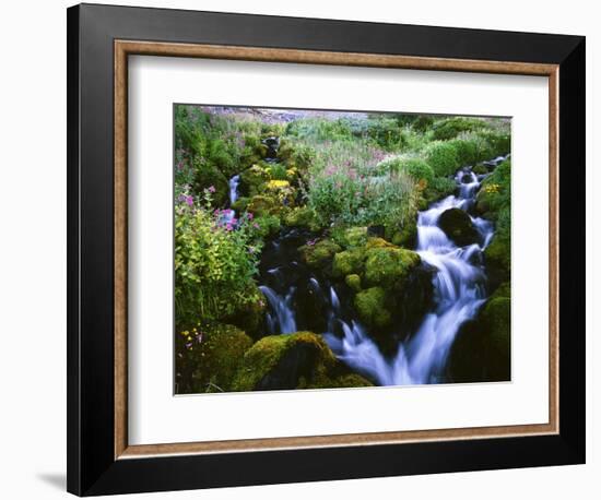 View of Waterfall in Forest, Oregon, USA-Stuart Westmorland-Framed Photographic Print