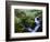 View of Waterfall in Forest, Oregon, USA-Stuart Westmorland-Framed Photographic Print