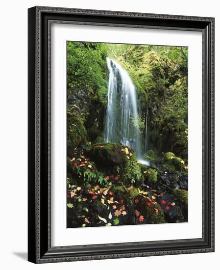 View of Waterfall with Autumn Leaves, Mt Hood National Forest, Oregon, USA-Stuart Westmorland-Framed Photographic Print