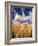 View of Wheat Field, Palouse, Washington State, USA-Stuart Westmorland-Framed Photographic Print