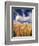 View of Wheat Field, Palouse, Washington State, USA-Stuart Westmorland-Framed Photographic Print