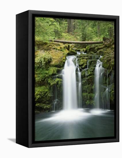 View of Whitehorse Falls, Umpqua National Forest, Oregon, USA-Dennis Flaherty-Framed Premier Image Canvas