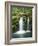 View of Whitehorse Falls, Umpqua National Forest, Oregon, USA-Dennis Flaherty-Framed Photographic Print