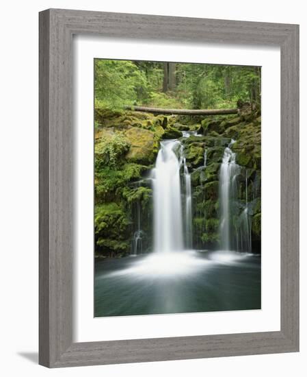 View of Whitehorse Falls, Umpqua National Forest, Oregon, USA-Dennis Flaherty-Framed Photographic Print