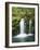 View of Whitehorse Falls, Umpqua National Forest, Oregon, USA-Dennis Flaherty-Framed Photographic Print