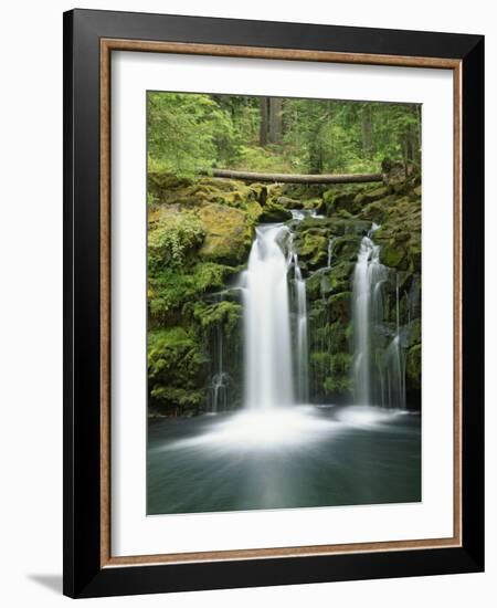 View of Whitehorse Falls, Umpqua National Forest, Oregon, USA-Dennis Flaherty-Framed Photographic Print