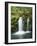 View of Whitehorse Falls, Umpqua National Forest, Oregon, USA-Dennis Flaherty-Framed Photographic Print