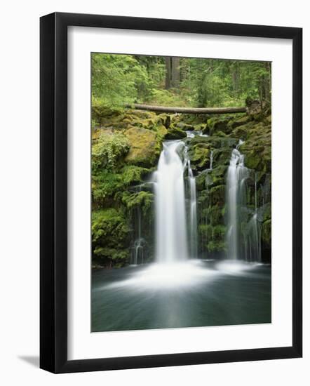 View of Whitehorse Falls, Umpqua National Forest, Oregon, USA-Dennis Flaherty-Framed Photographic Print