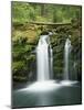 View of Whitehorse Falls, Umpqua National Forest, Oregon, USA-Dennis Flaherty-Mounted Photographic Print