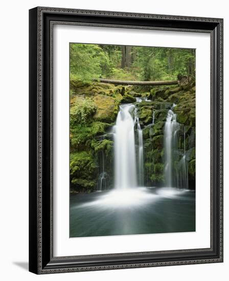 View of Whitehorse Falls, Umpqua National Forest, Oregon, USA-Dennis Flaherty-Framed Photographic Print