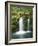 View of Whitehorse Falls, Umpqua National Forest, Oregon, USA-Dennis Flaherty-Framed Photographic Print