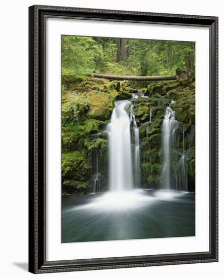 View of Whitehorse Falls, Umpqua National Forest, Oregon, USA-Dennis Flaherty-Framed Photographic Print