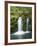 View of Whitehorse Falls, Umpqua National Forest, Oregon, USA-Dennis Flaherty-Framed Photographic Print