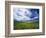 View of Wild Mustard Flowers Field, Washington, USA-Adam Jones-Framed Photographic Print