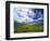 View of Wild Mustard Flowers Field, Washington, USA-Adam Jones-Framed Photographic Print