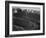 View Of Wooded Hills With Mountains In Bkgd "In Rocky Mountain National Park" Colorado. 1933-1942-Ansel Adams-Framed Art Print