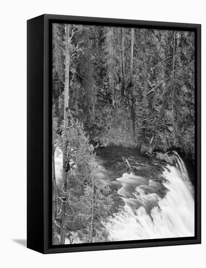 View of Yellowstone Firehole River Falls, Yellowstone National Park, Wyoming, USA-Scott T^ Smith-Framed Premier Image Canvas
